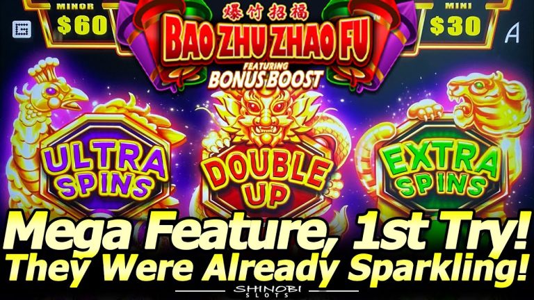 Bao Zhu Zhao Fu slot Machine how to win